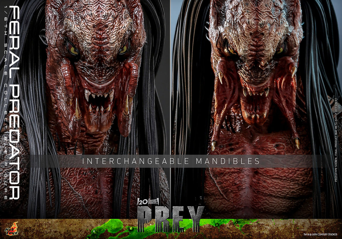 Feral Predator Sixth Scale Figure