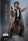 Han Solo Star Wars Sixth Scale Figure