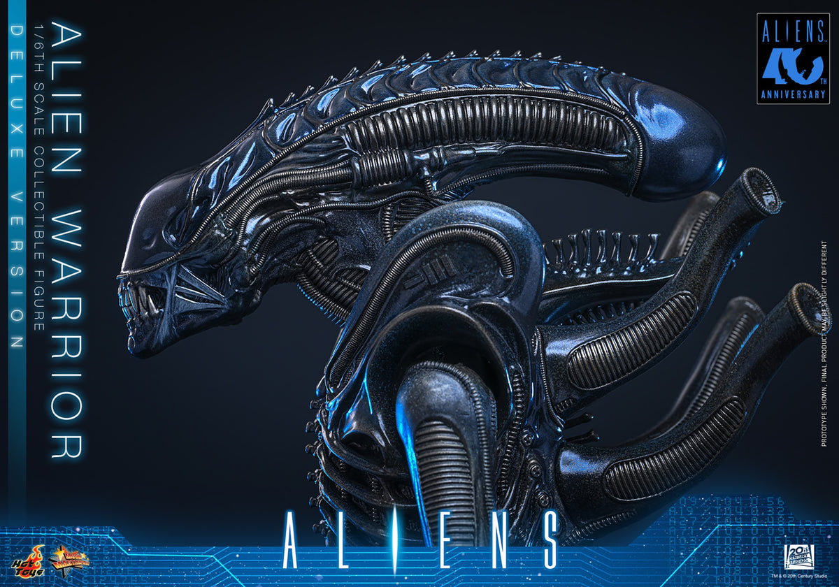 Alien Warrior Sixth Scale Figure