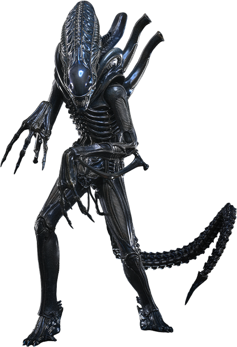 Alien Warrior Sixth Scale Figure