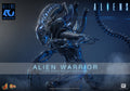 Alien Warrior Sixth Scale Figure