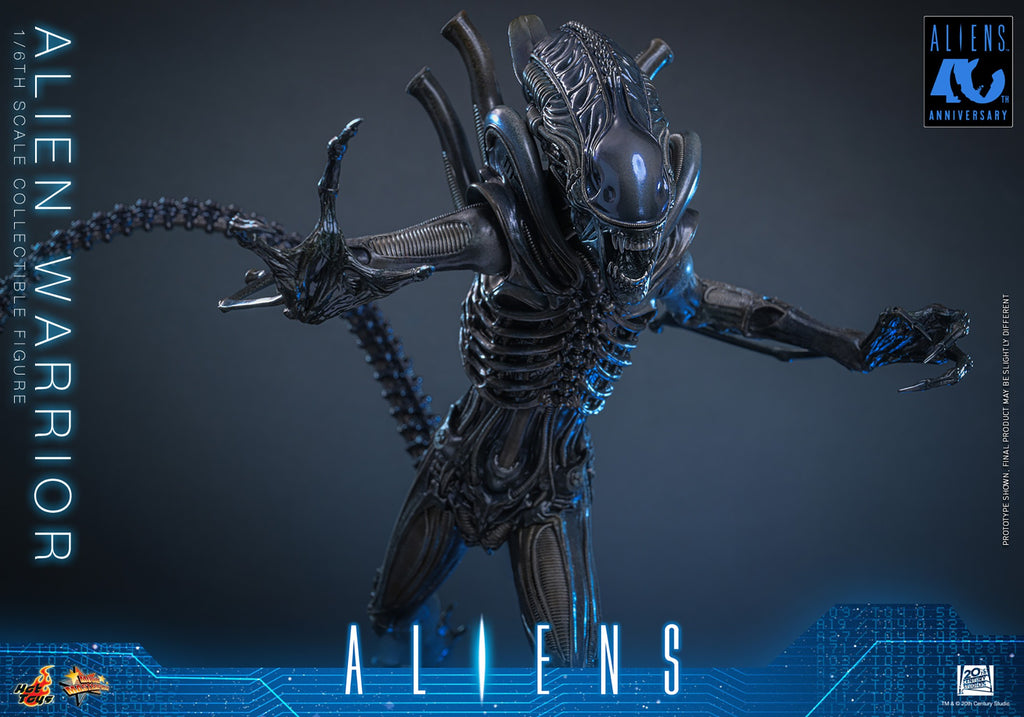 Alien Warrior Sixth Scale Figure
