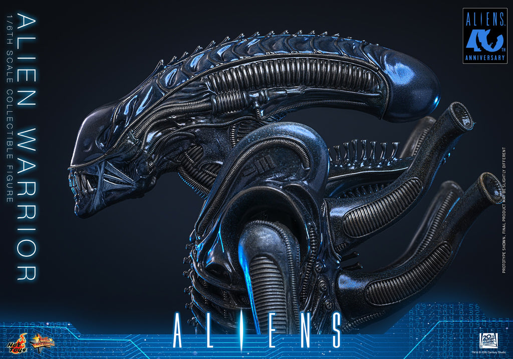 Alien Warrior Sixth Scale Figure