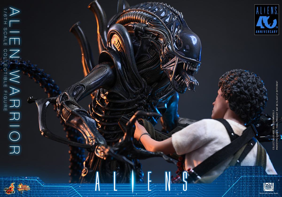 Alien Warrior Sixth Scale Figure