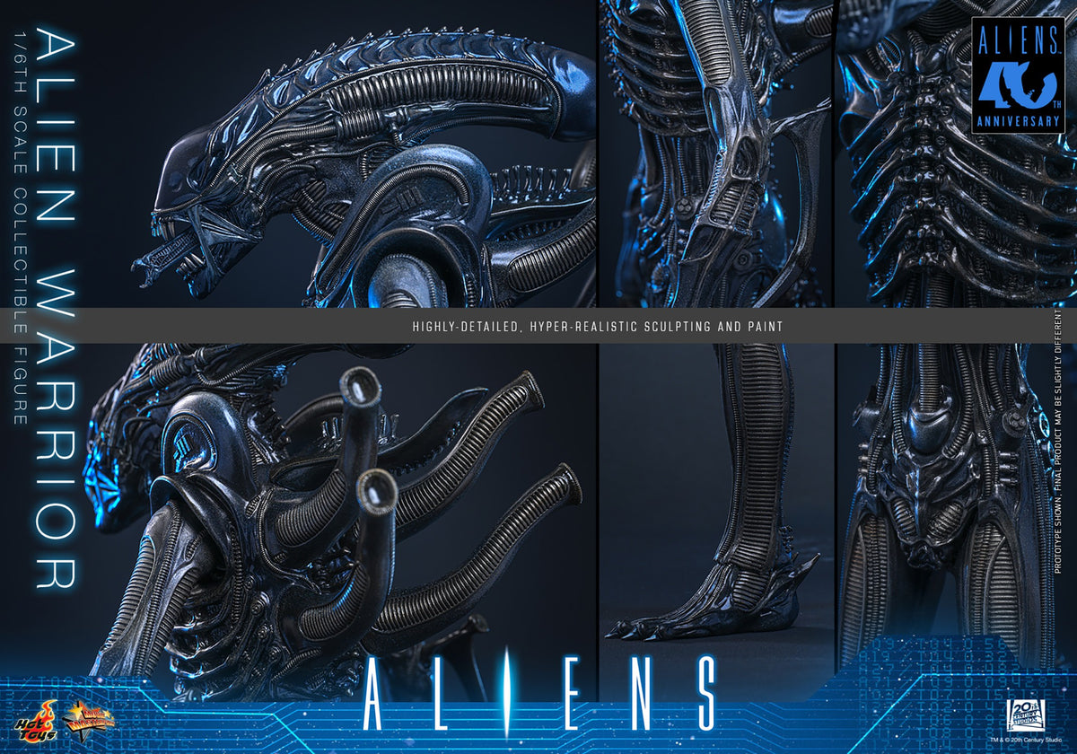 Alien Warrior Sixth Scale Figure