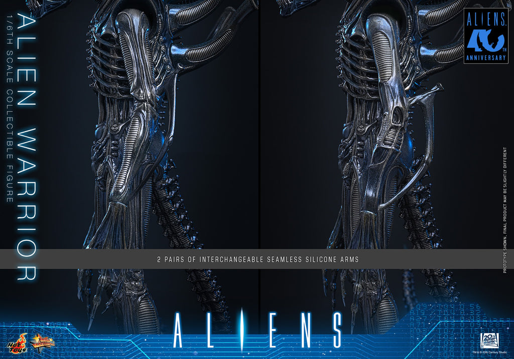 Alien Warrior Sixth Scale Figure