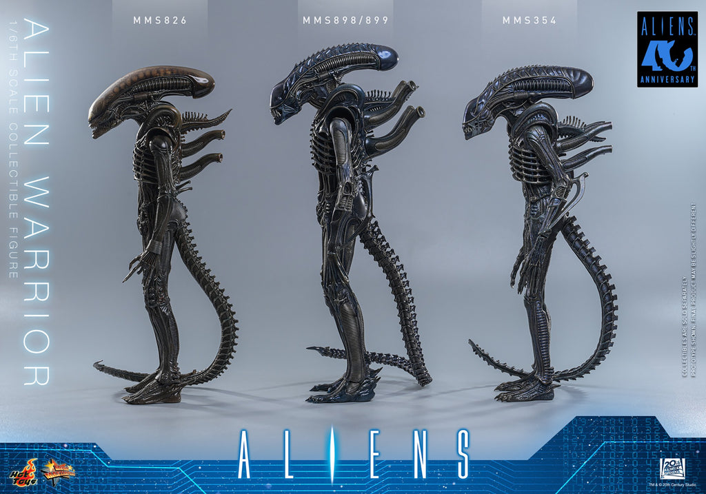 Alien Warrior Sixth Scale Figure