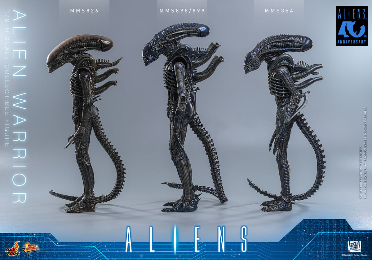 Alien Warrior Sixth Scale Figure
