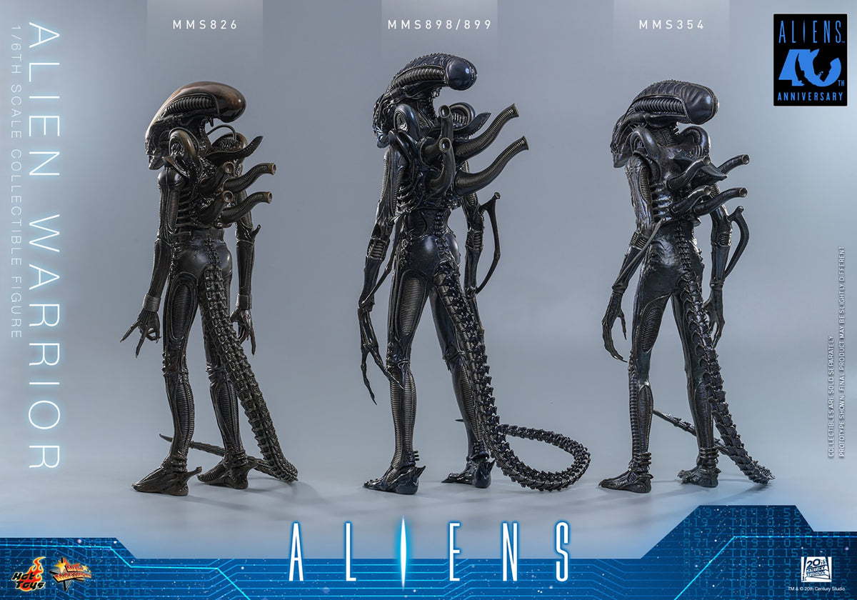 Alien Warrior Sixth Scale Figure