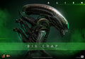 Big Chap Alien Sixth Scale Figure