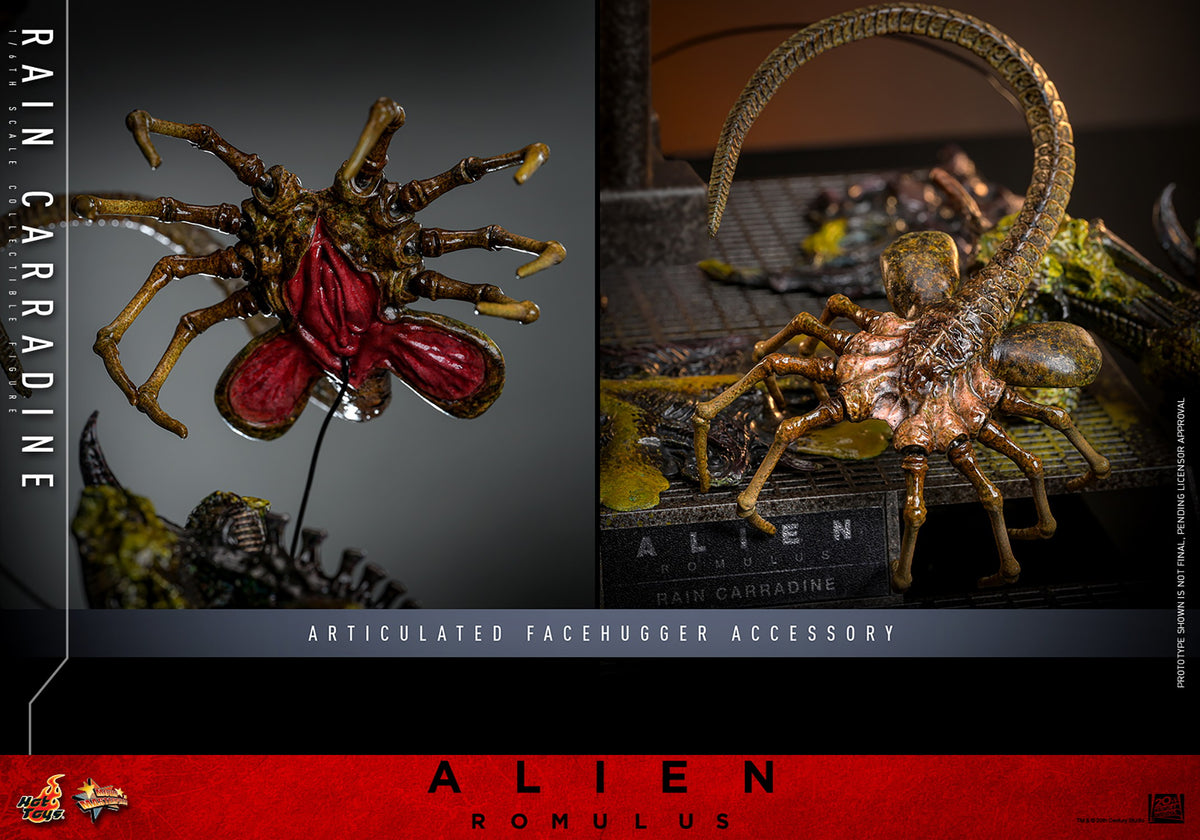 Rain Carradine Alien Sixth Scale Figure