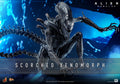 Scorched Xenomorph Alien Sixth Scale Figure