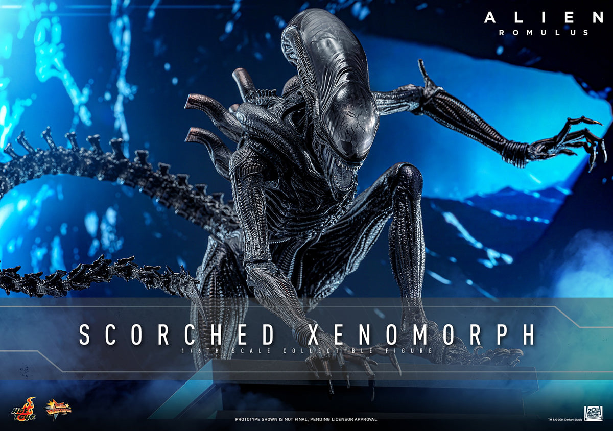Scorched Xenomorph Alien Sixth Scale Figure