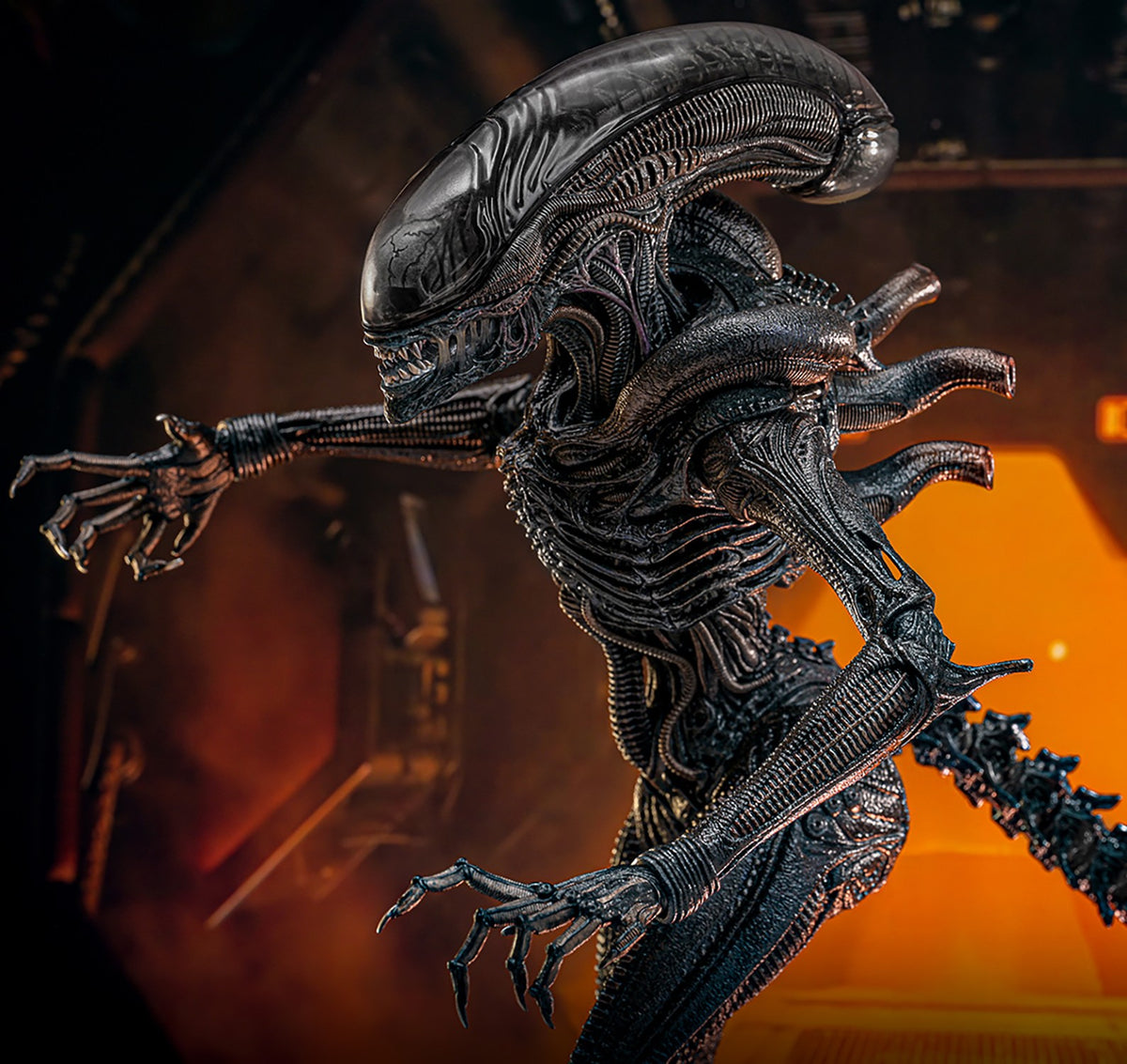 Scorched Xenomorph Alien Sixth Scale Figure