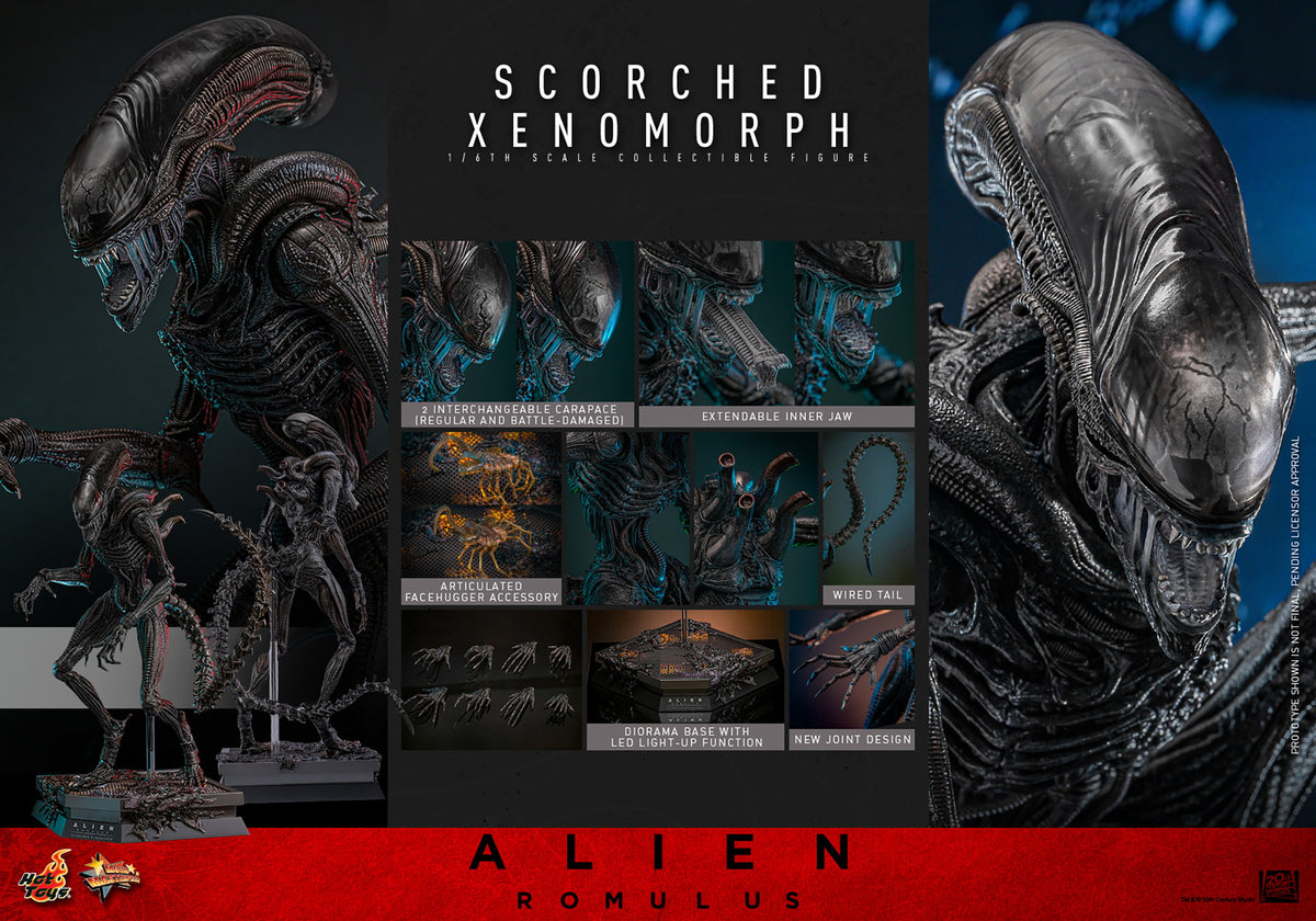 Scorched Xenomorph Alien Sixth Scale Figure