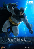 Batman DC Sixth Scale Figure