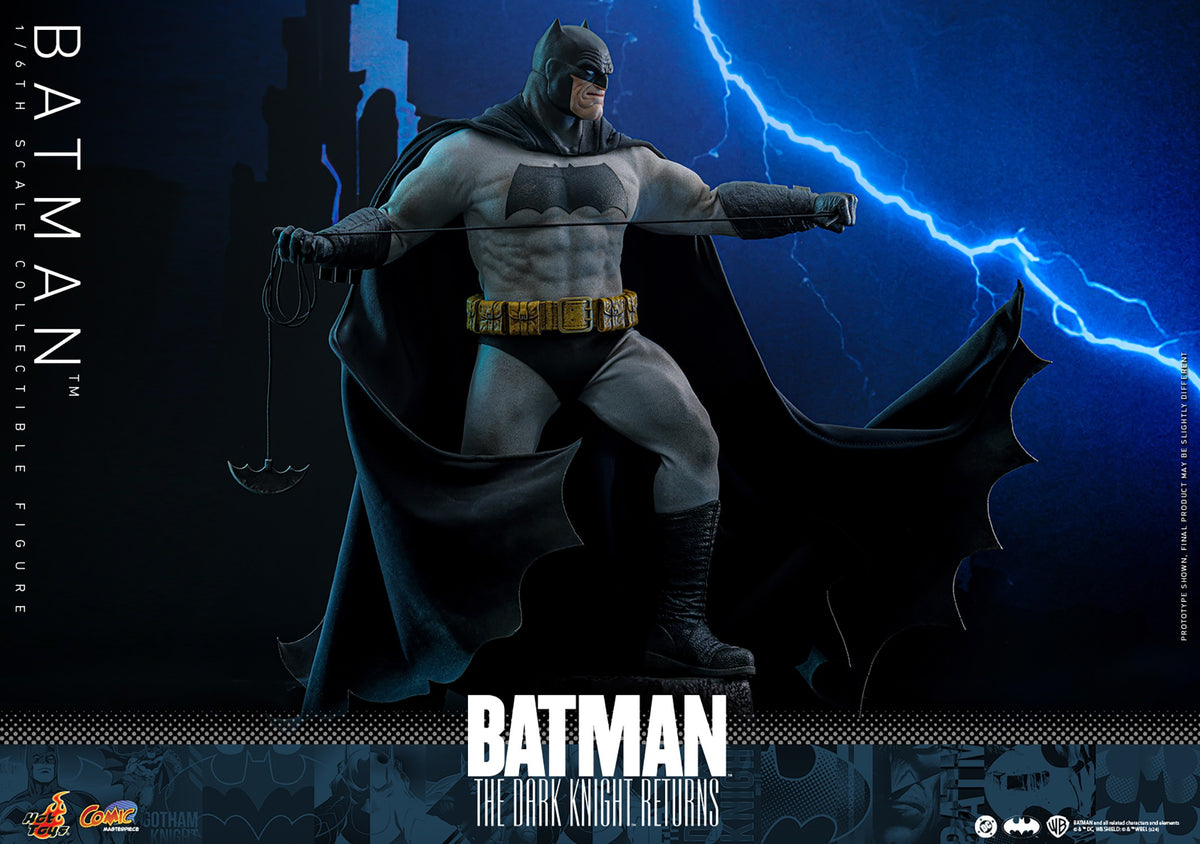 Batman DC Sixth Scale Figure
