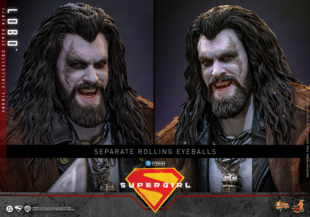 Lobo DC Sixth Scale Figure