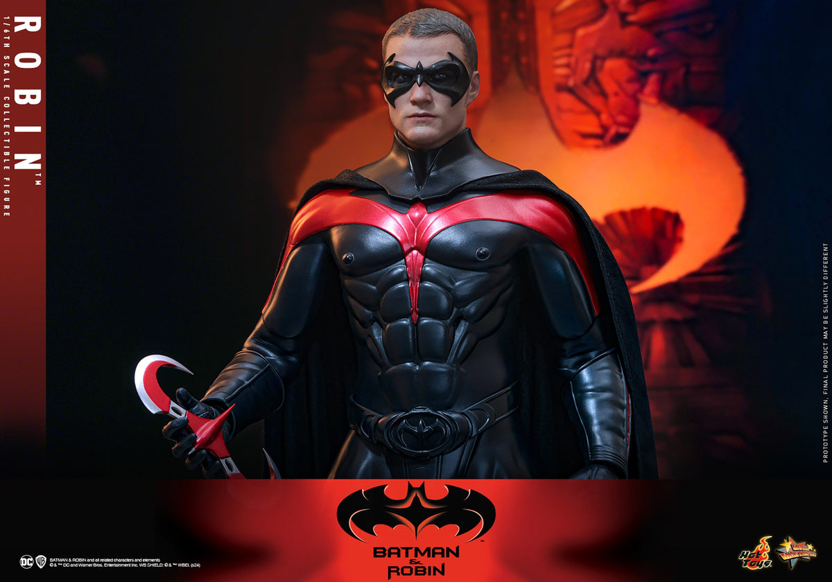 Robin DC Sixth Scale Figure