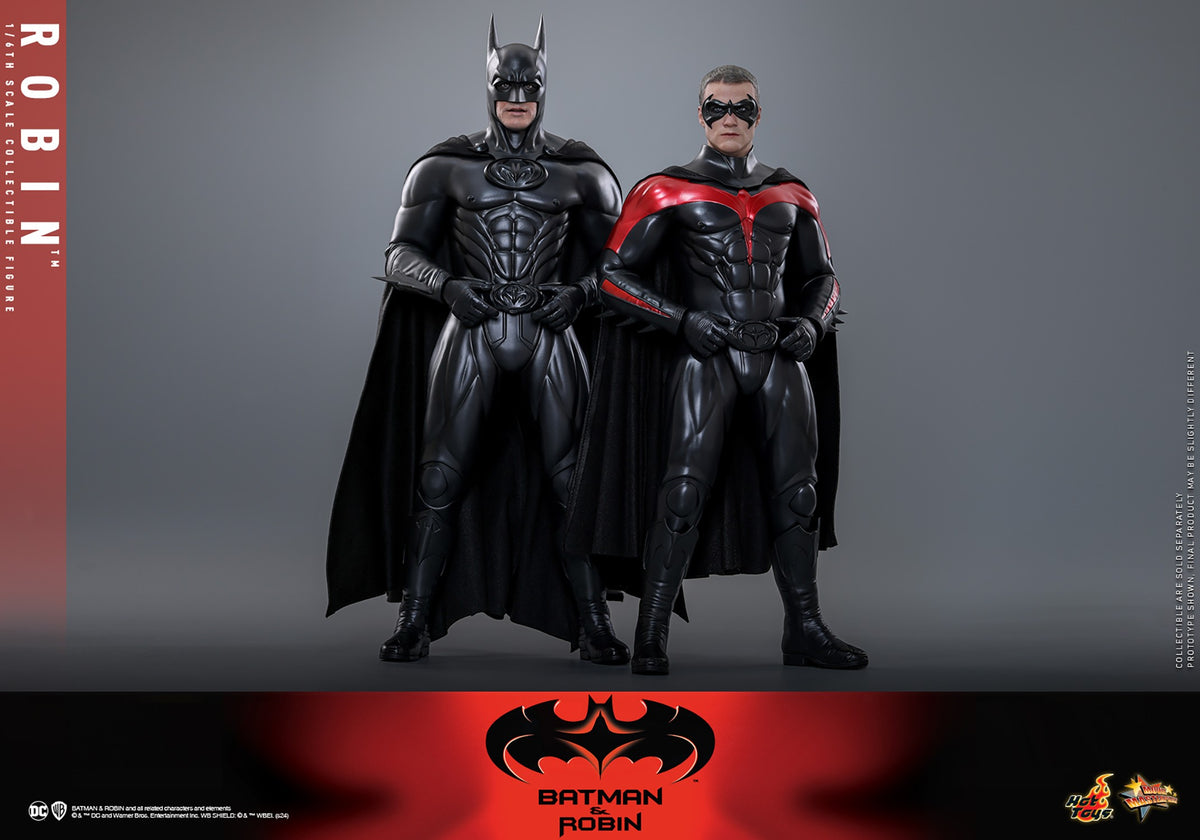 Robin DC Sixth Scale Figure