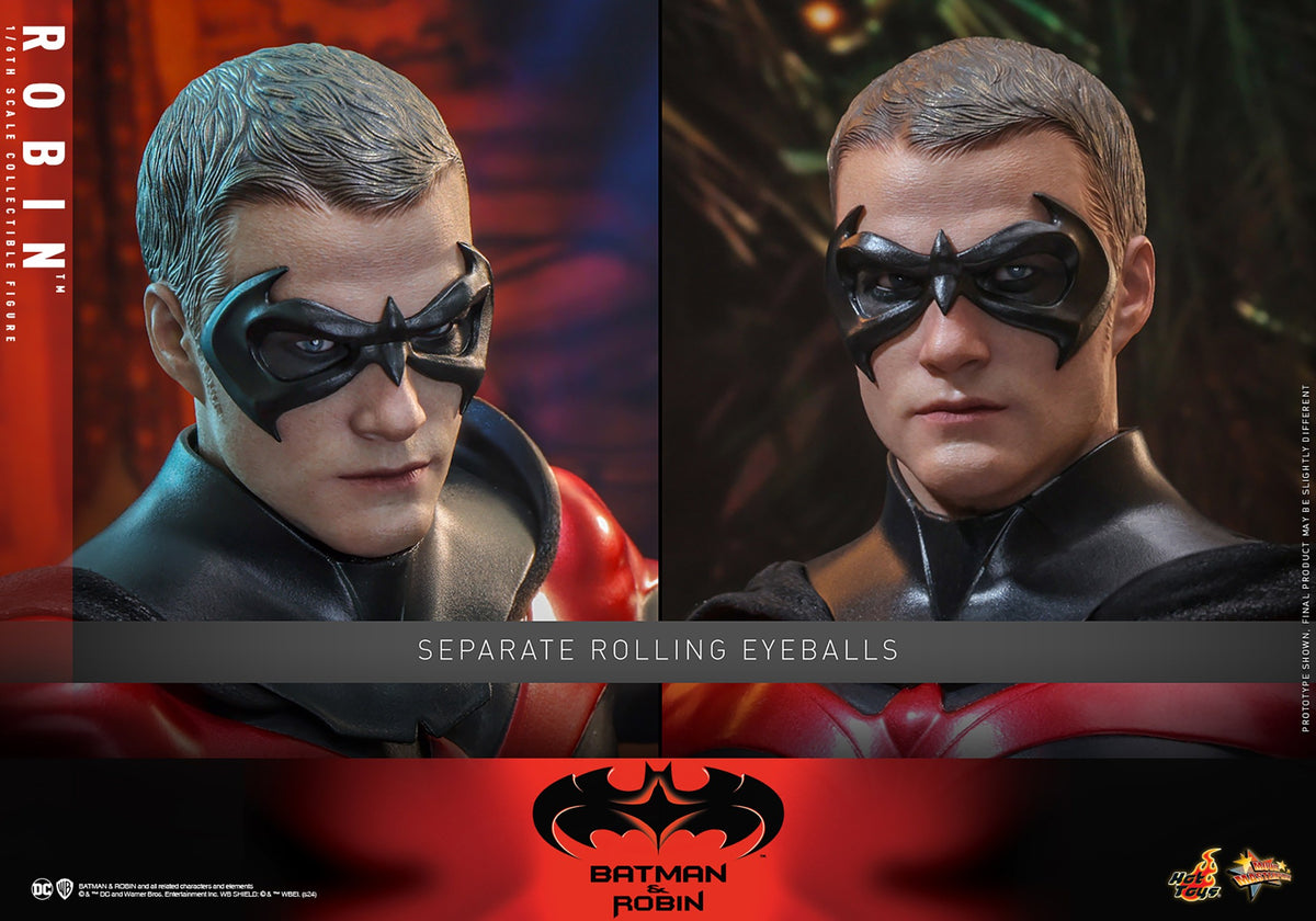 Robin DC Sixth Scale Figure