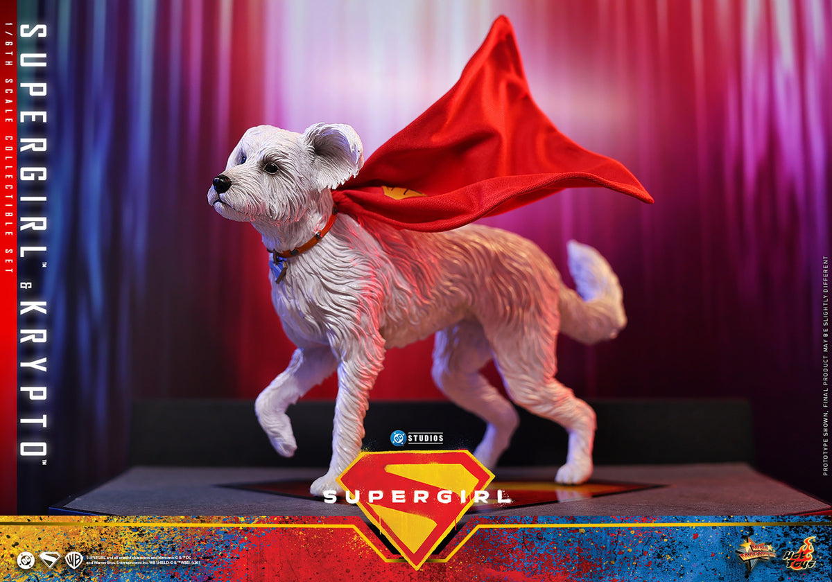 Supergirl & Krypto DC Sixth Scale Figure Set