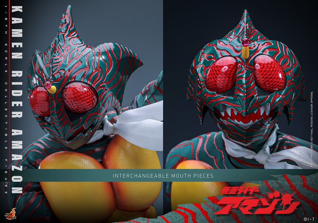 Kamen Rider Amazon Sixth Scale Figure