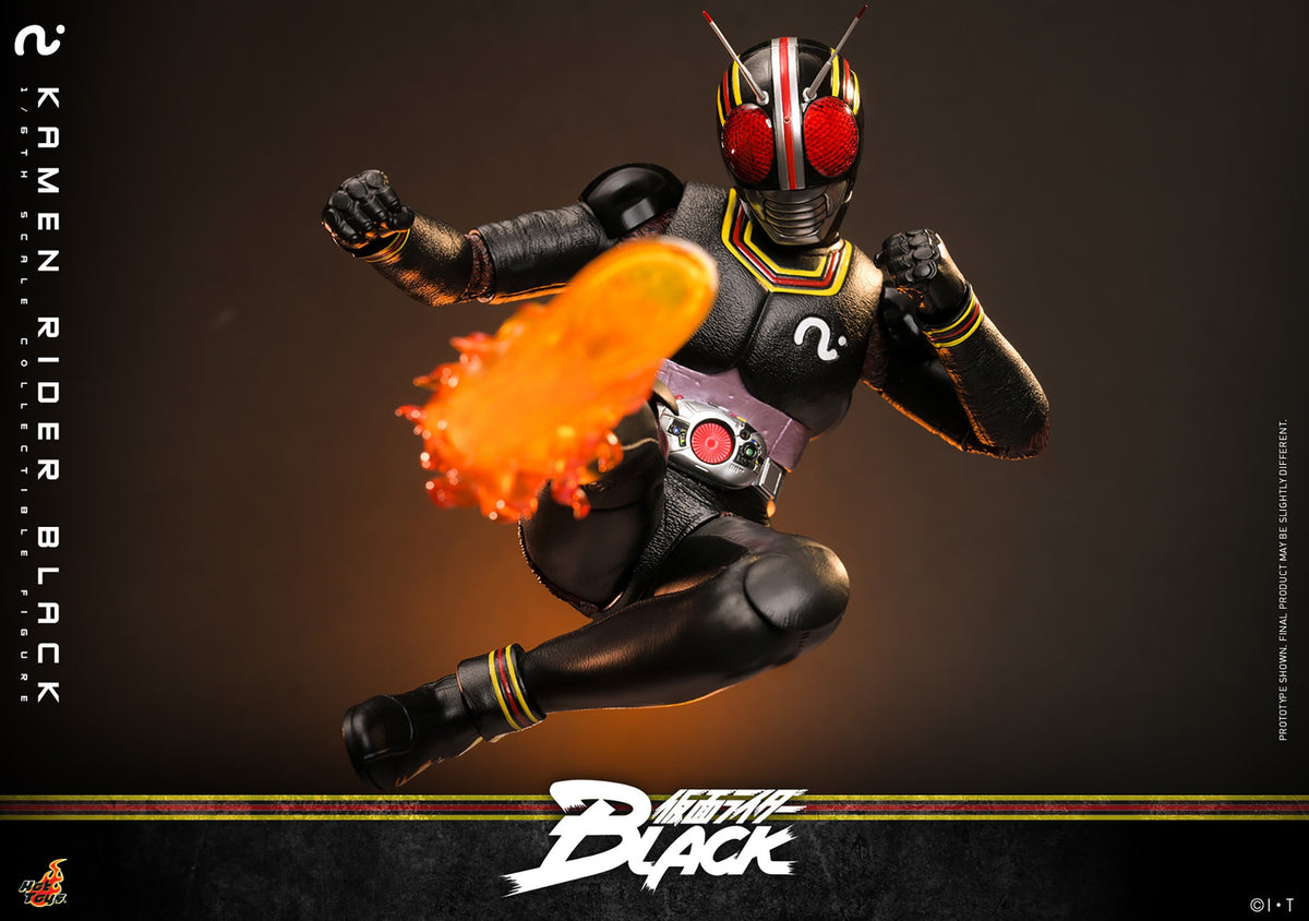 Kamen Rider Black Sixth Scale Figure