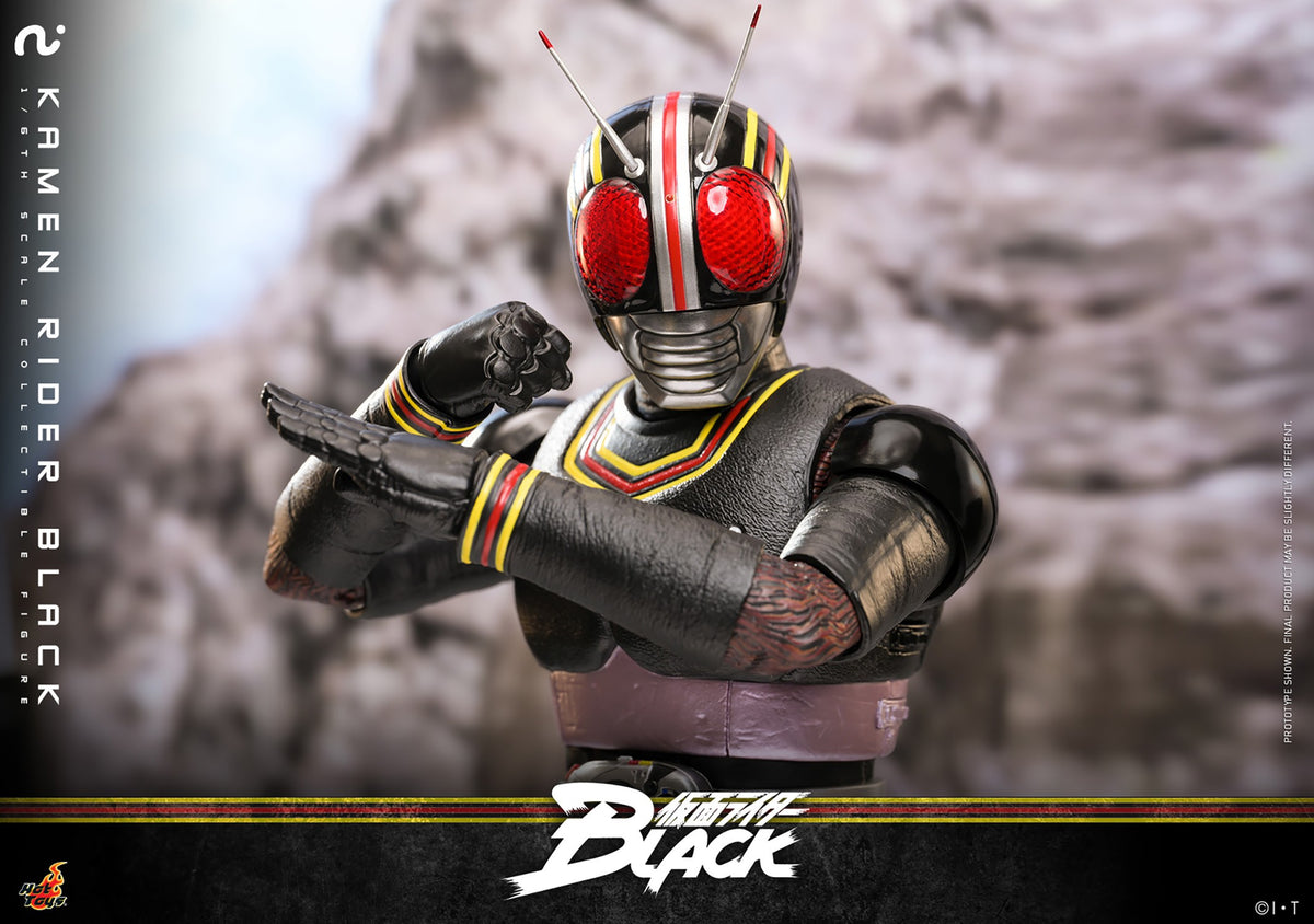 Kamen Rider Black Sixth Scale Figure