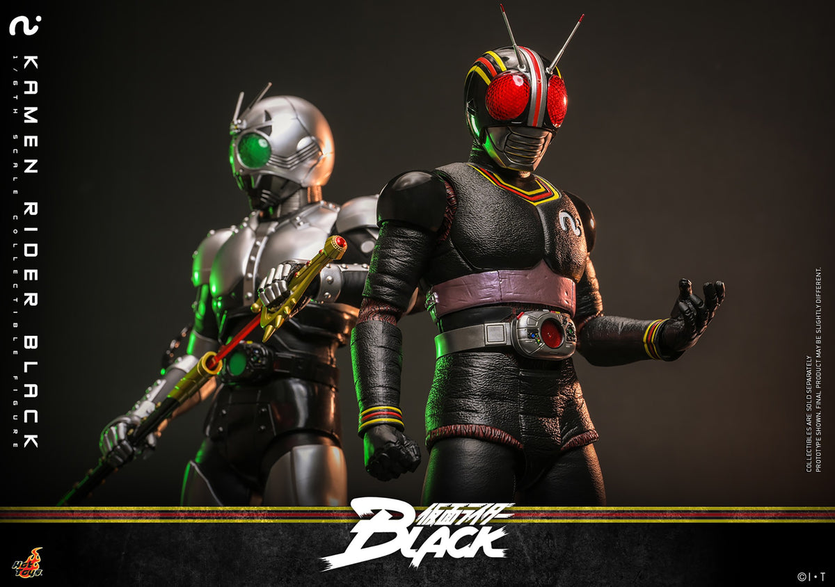 Kamen Rider Black Sixth Scale Figure