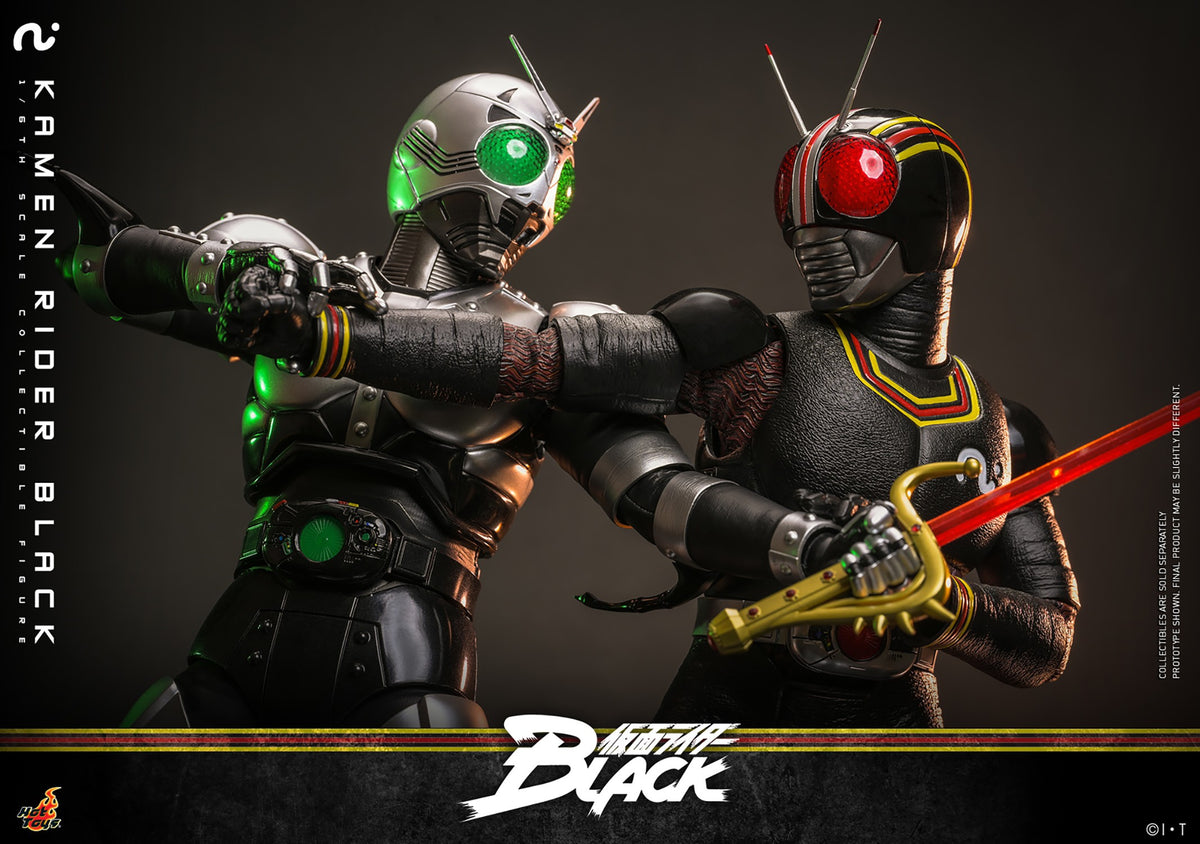 Kamen Rider Black Sixth Scale Figure