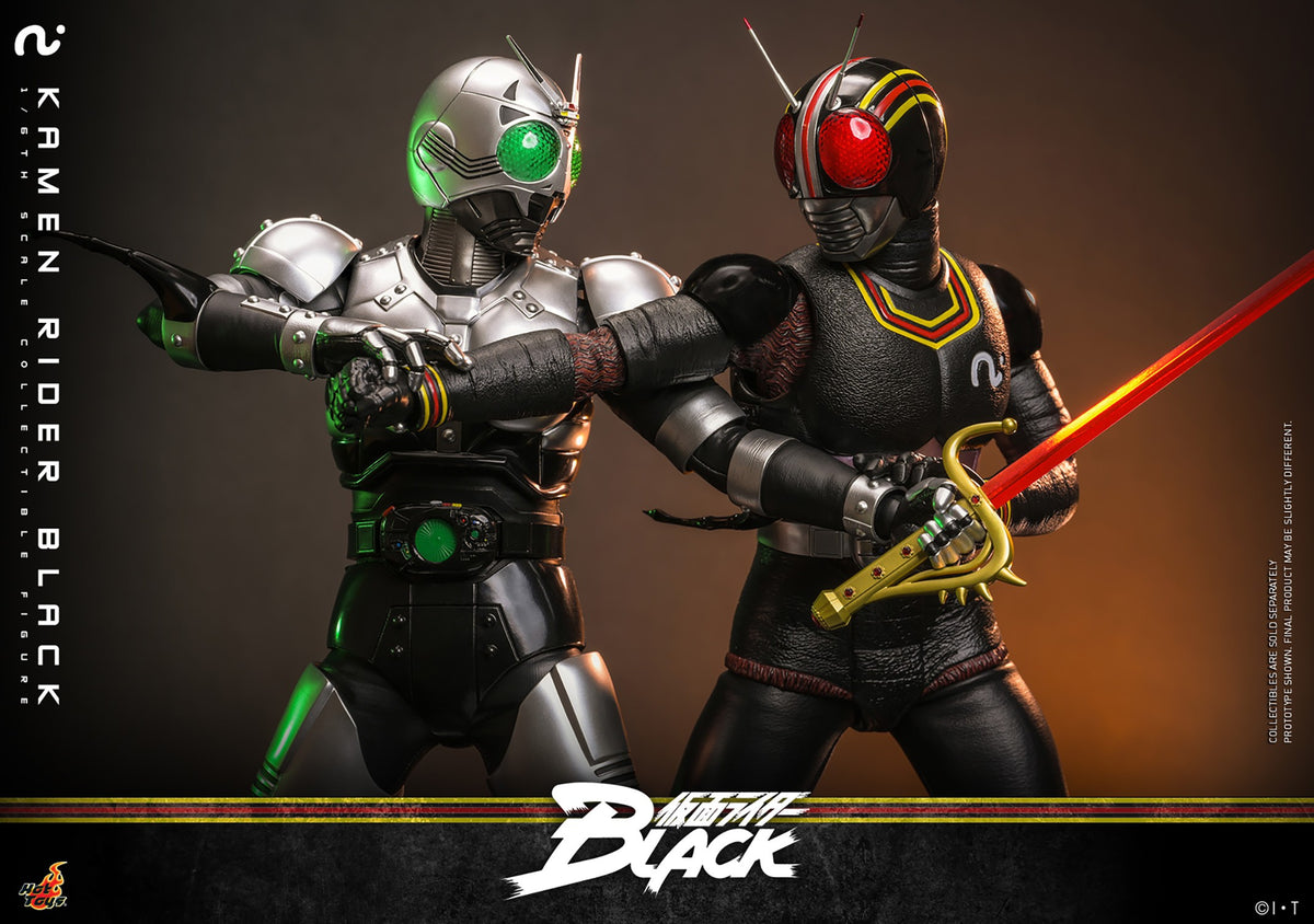 Kamen Rider Black Sixth Scale Figure