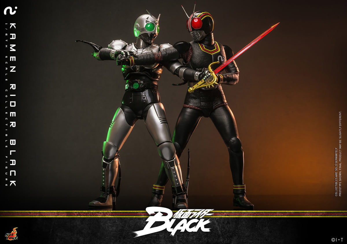Kamen Rider Black Sixth Scale Figure