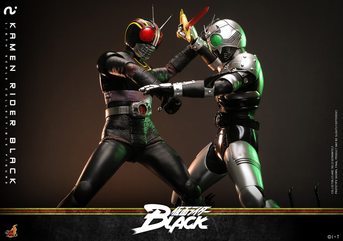 Kamen Rider Black Sixth Scale Figure