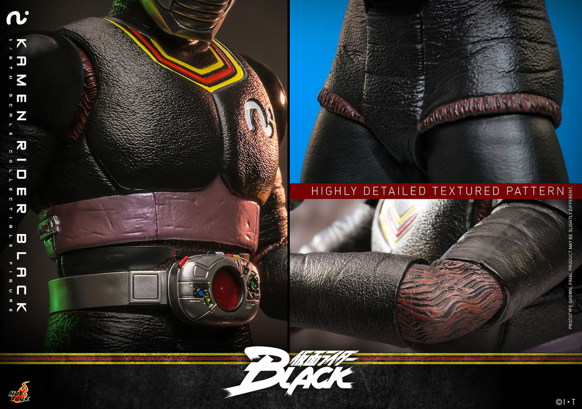 Kamen Rider Black Sixth Scale Figure