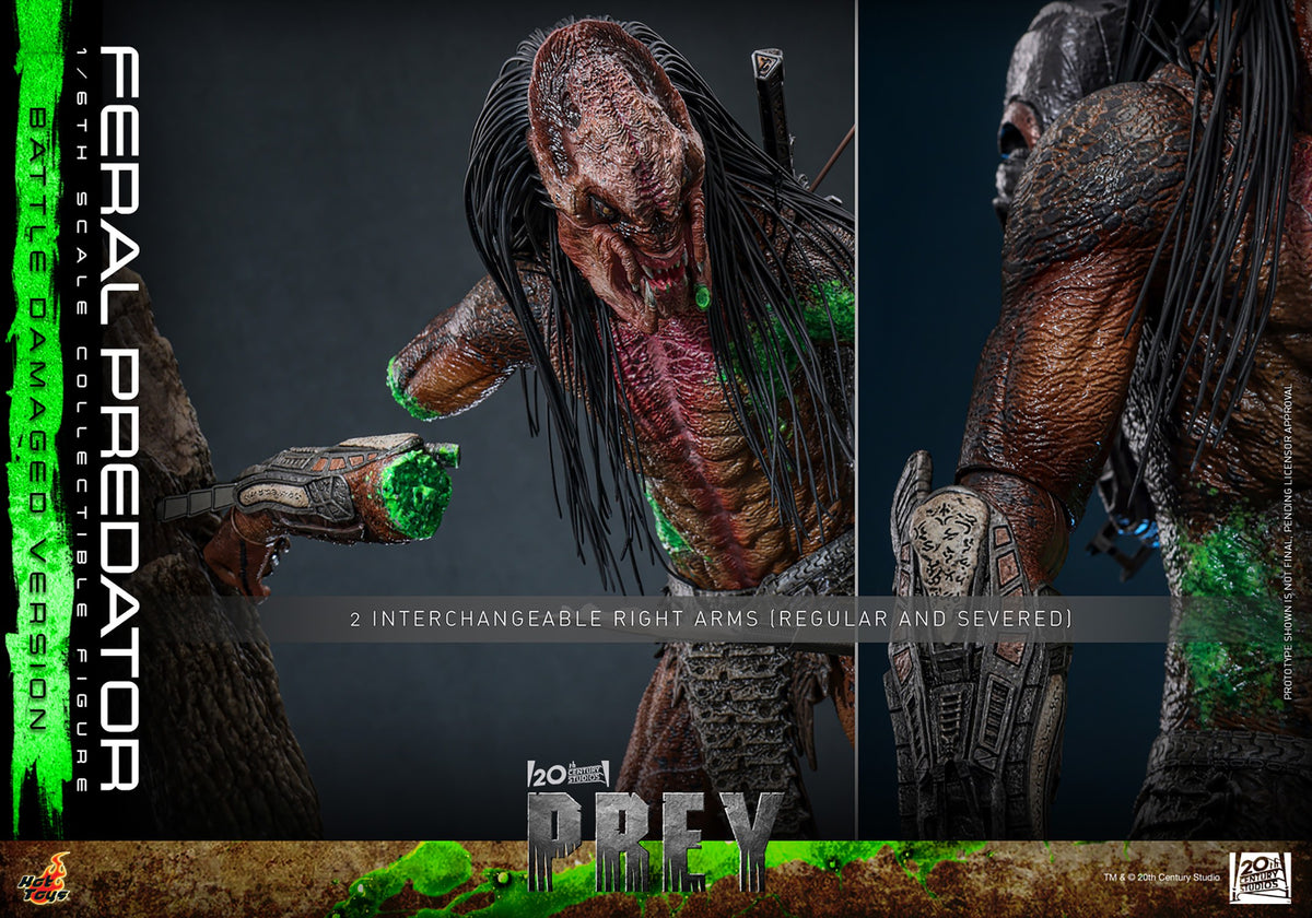 Feral Predator (Battle Damaged Version) Sixth Scale Figure
