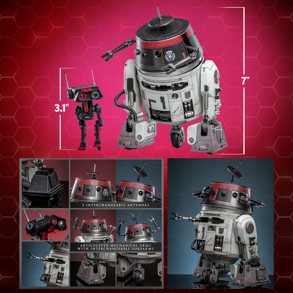 Chopper (C1-10P) & BD-1 (Imperial Disguise) Star Wars Sixth Scale Figure Set