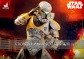 Clone Commando Gregor Star Wars Sixth Scale Figure