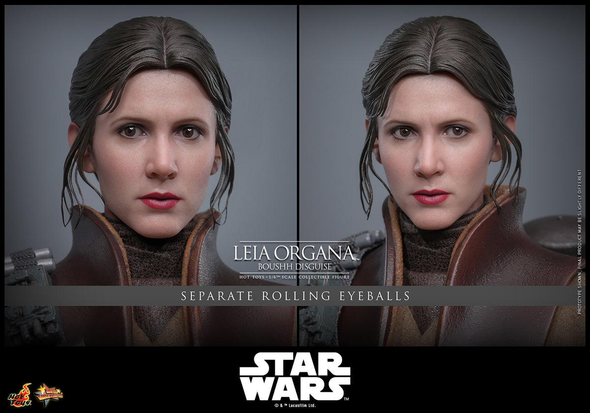 Leia Organa (Boushh Disguise) Star Wars Sixth Scale Figure