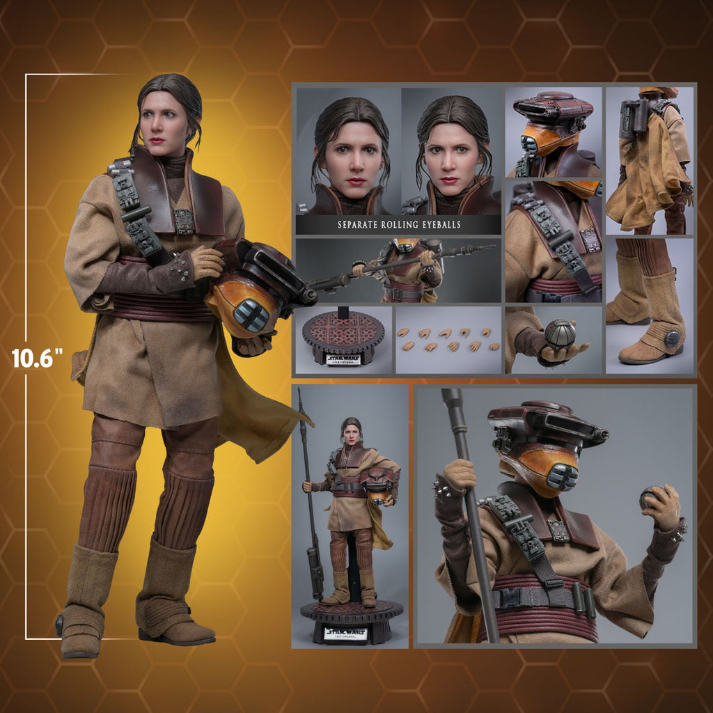 Leia Organa (Boushh Disguise) Star Wars Sixth Scale Figure