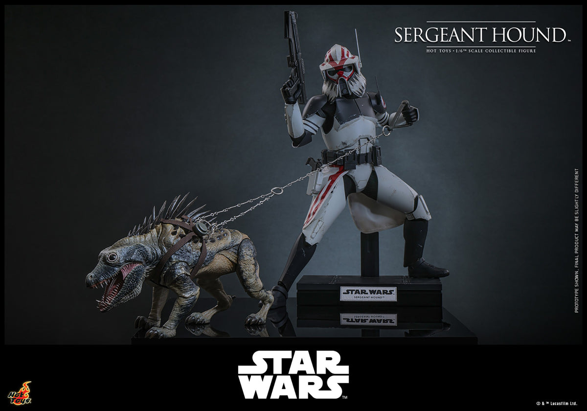 Sergeant Hound Star Wars Sixth Scale Figure