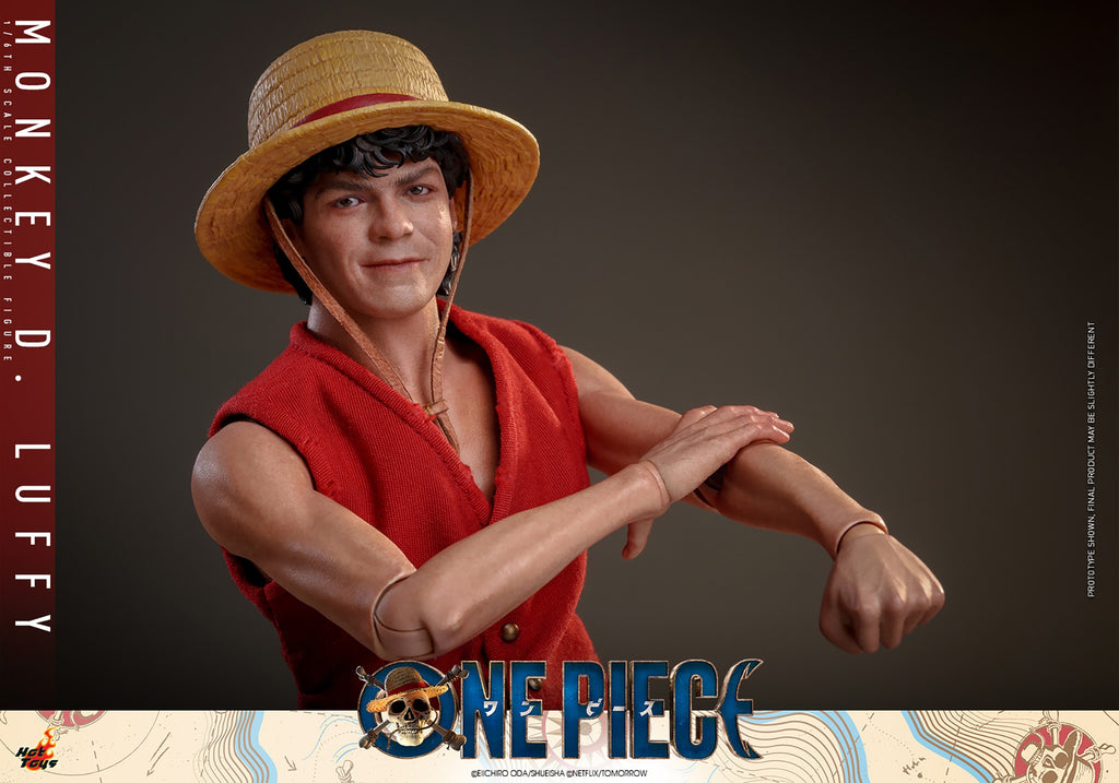 Monkey D. Luffy One Piece Sixth Scale Figure