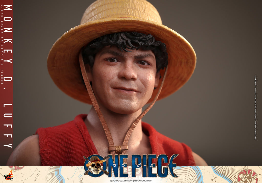 Monkey D. Luffy One Piece Sixth Scale Figure