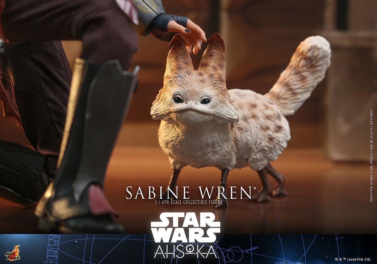 Sabine Wren Star Wars Sixth Scale Figure