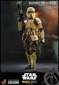 Shoretrooper Star Wars Sixth Scale Figure