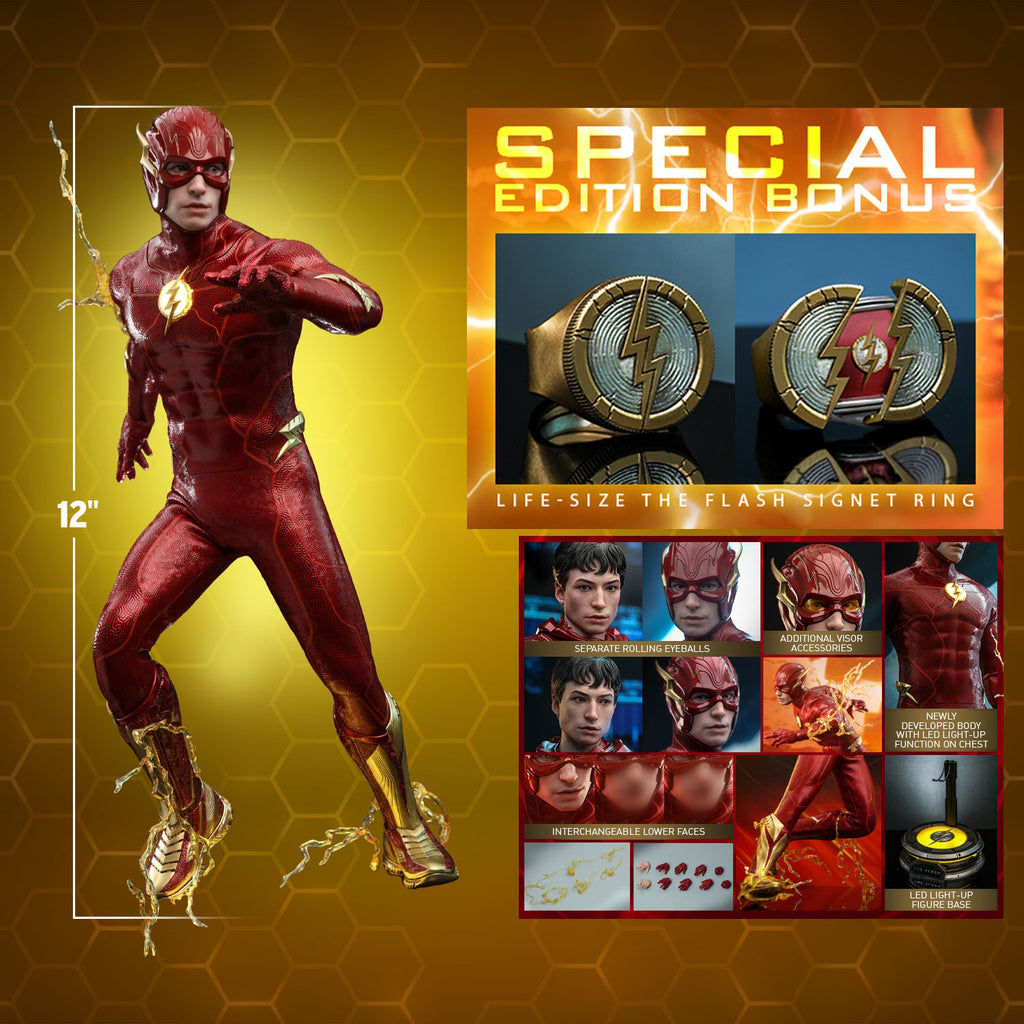 The Flash DC Sixth Scale Figure