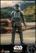 Transport Trooper Star Wars Sixth Scale Figure